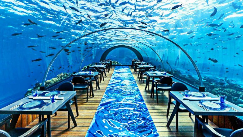 image 0 The Most Expensive Restaurant In The World